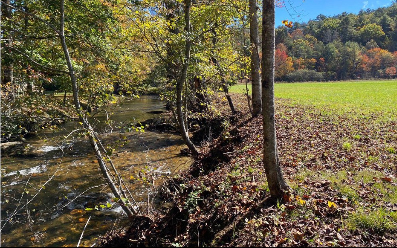 10.64 Stonefly Ridge Blue Ridge, GA 30513 - Photo 12 of 17 Additional View