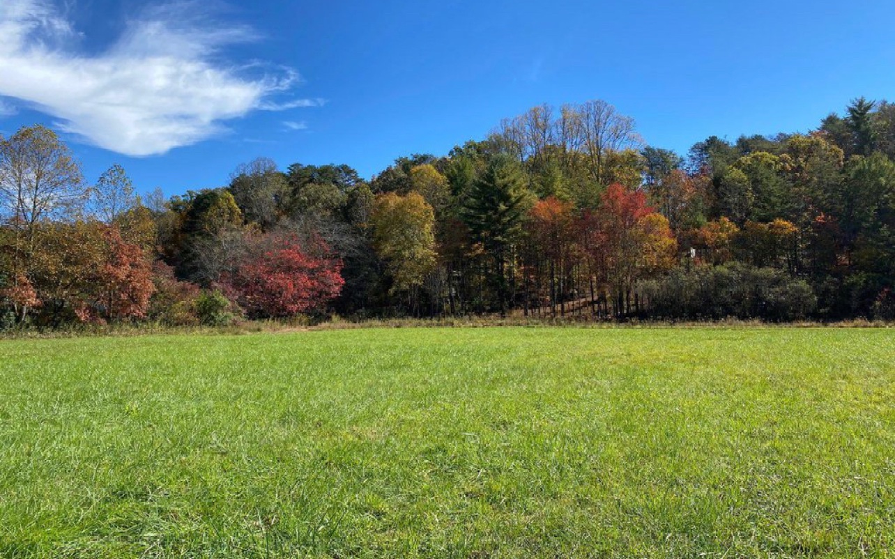 10.64 Stonefly Ridge Blue Ridge, GA 30513 - Photo 13 of 17 Additional View