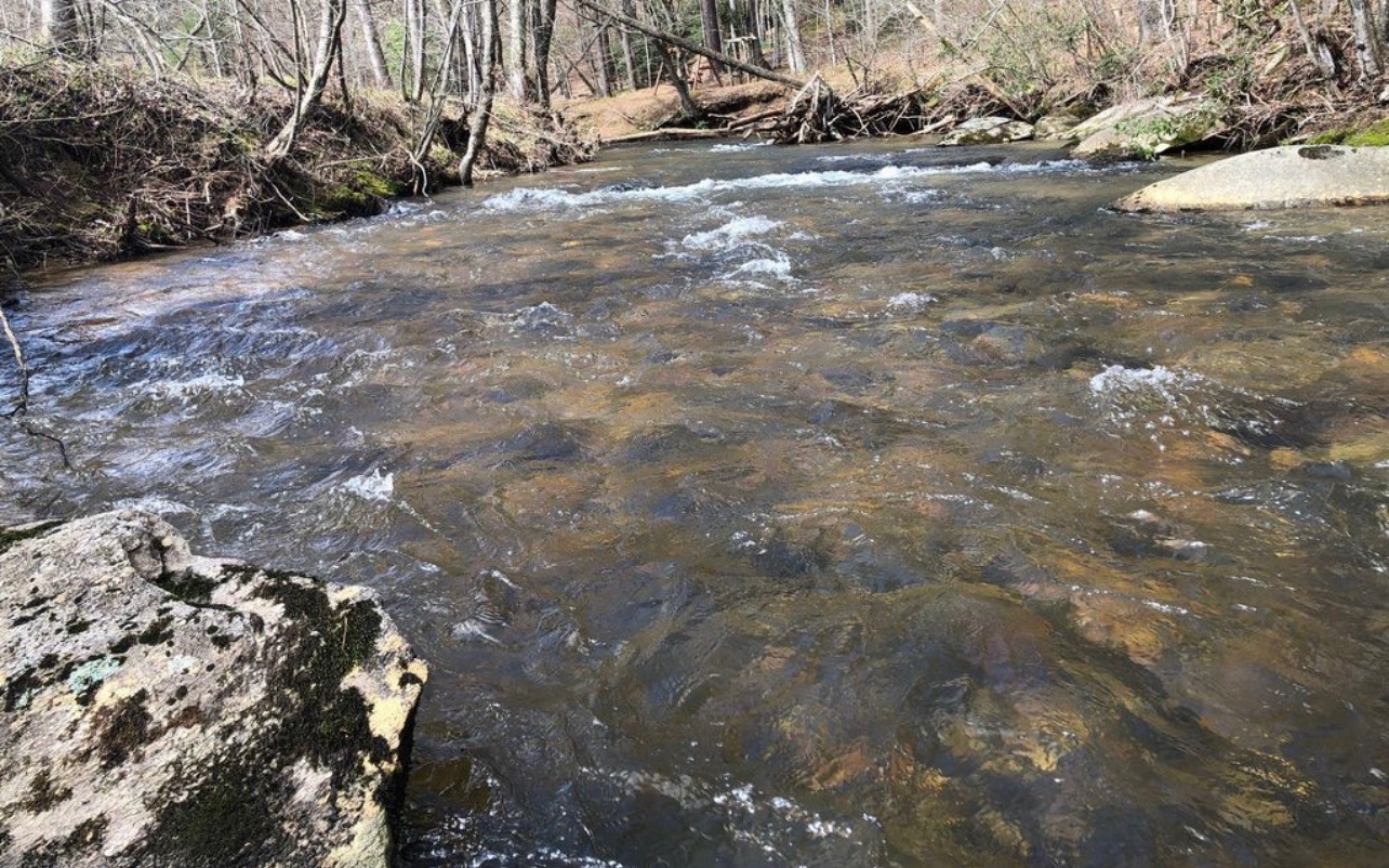 10.64 Stonefly Ridge Blue Ridge, GA 30513 - Photo 14 of 17 Additional View