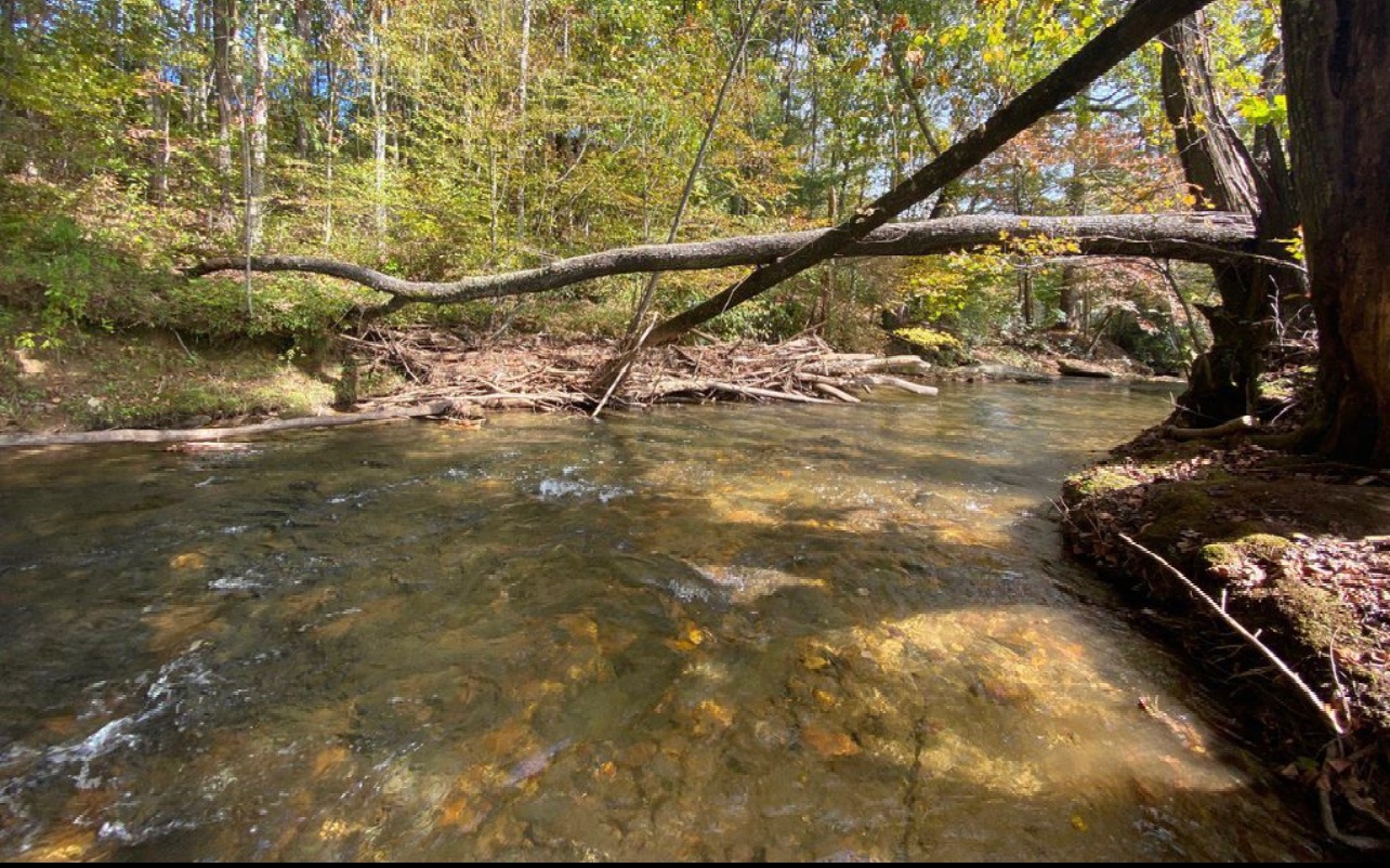 10.64 Stonefly Ridge Blue Ridge, GA 30513 - Photo 2 of 17 Additional View