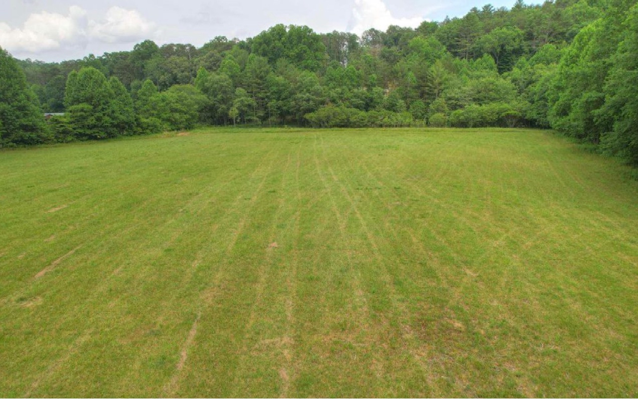 10.64 Stonefly Ridge Blue Ridge, GA 30513 - Photo 3 of 17 Additional View