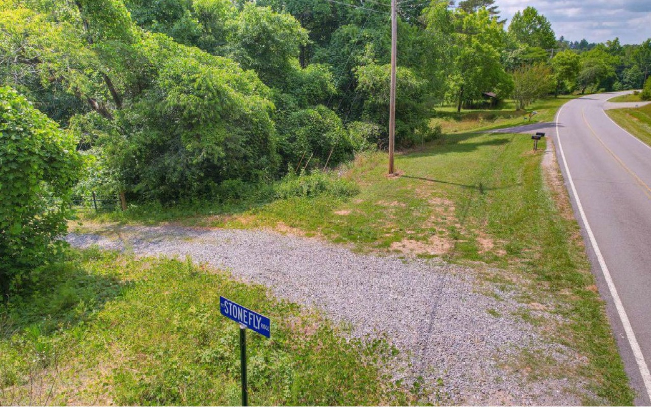 10.64 Stonefly Ridge Blue Ridge, GA 30513 - Photo 4 of 17 Additional View