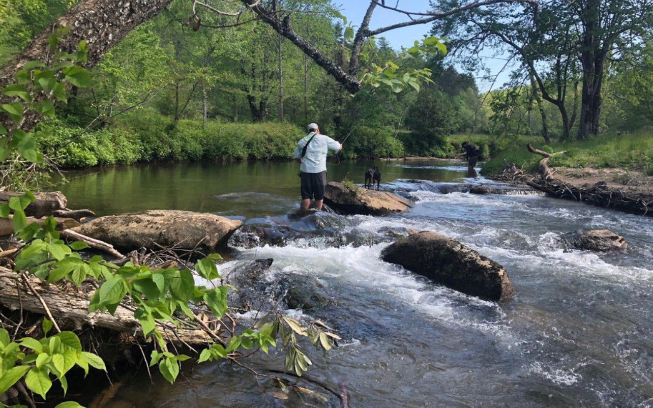 10.64 Stonefly Ridge Blue Ridge, GA 30513 - Photo 7 of 17 Additional View