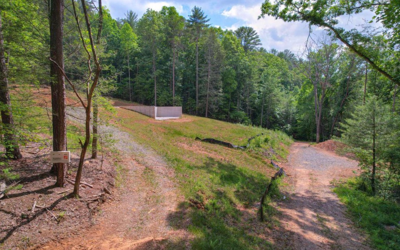 10.64 Stonefly Ridge Blue Ridge, GA 30513 - Photo 10 of 17 Additional View
