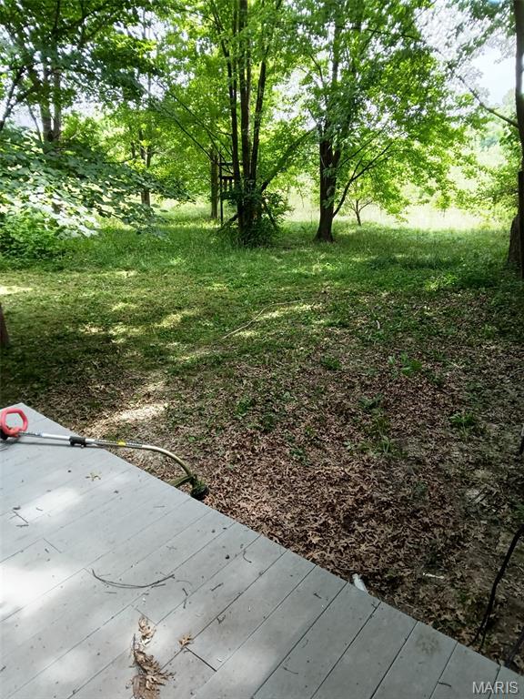 16678 Conrad Road Brighton, IL 62012 - Photo 8 of 39