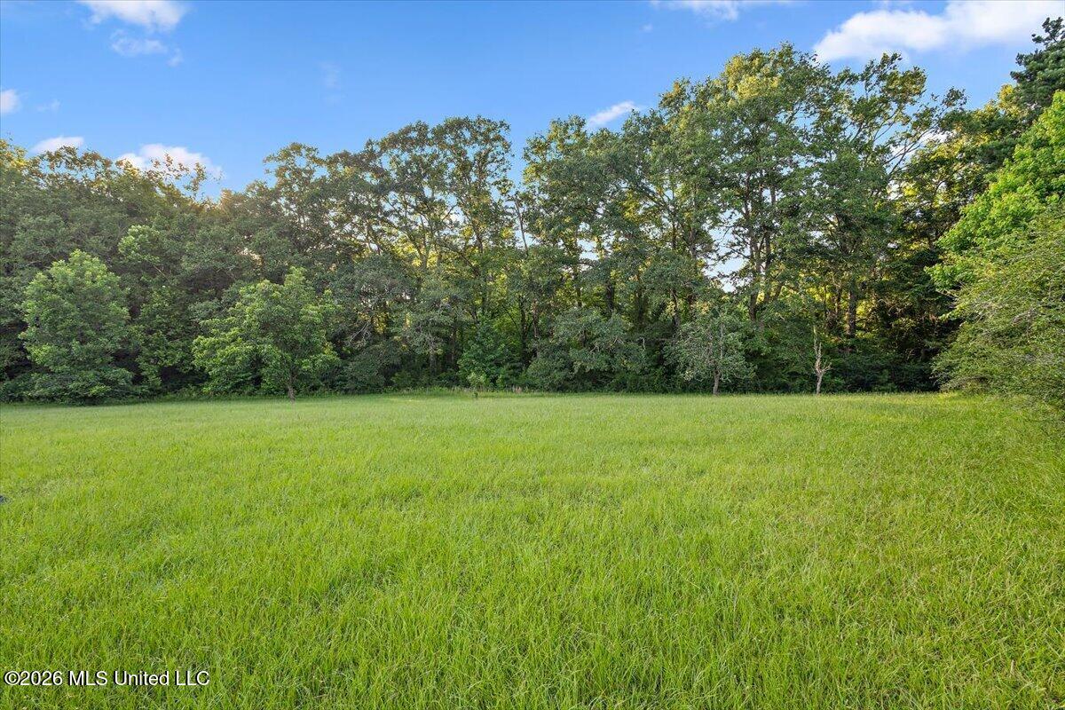 13195 Old Port Gibson Road Hazlehurst, MS 39083 - Photo 38 of 38 38-HTP_9440