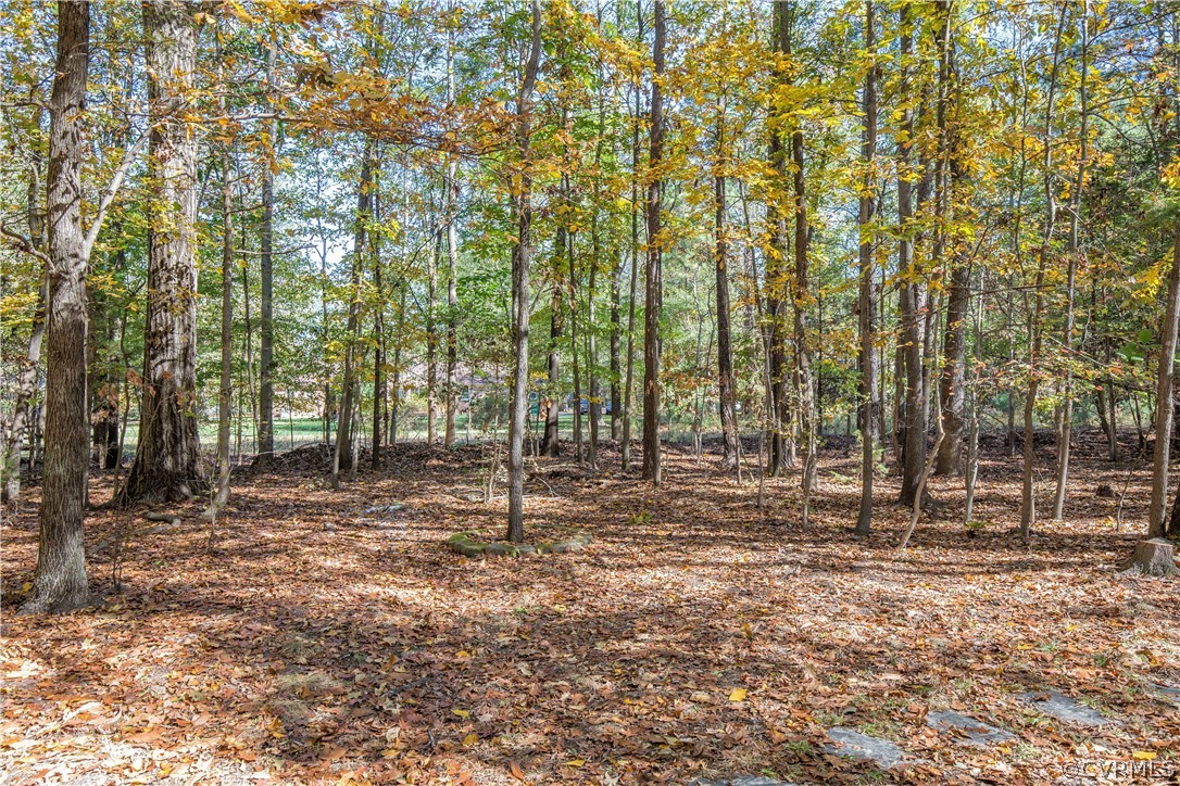 13600 Edmonthorpe Road Midlothian, VA 23113 - Photo 39 of 41 Gallery Image 39