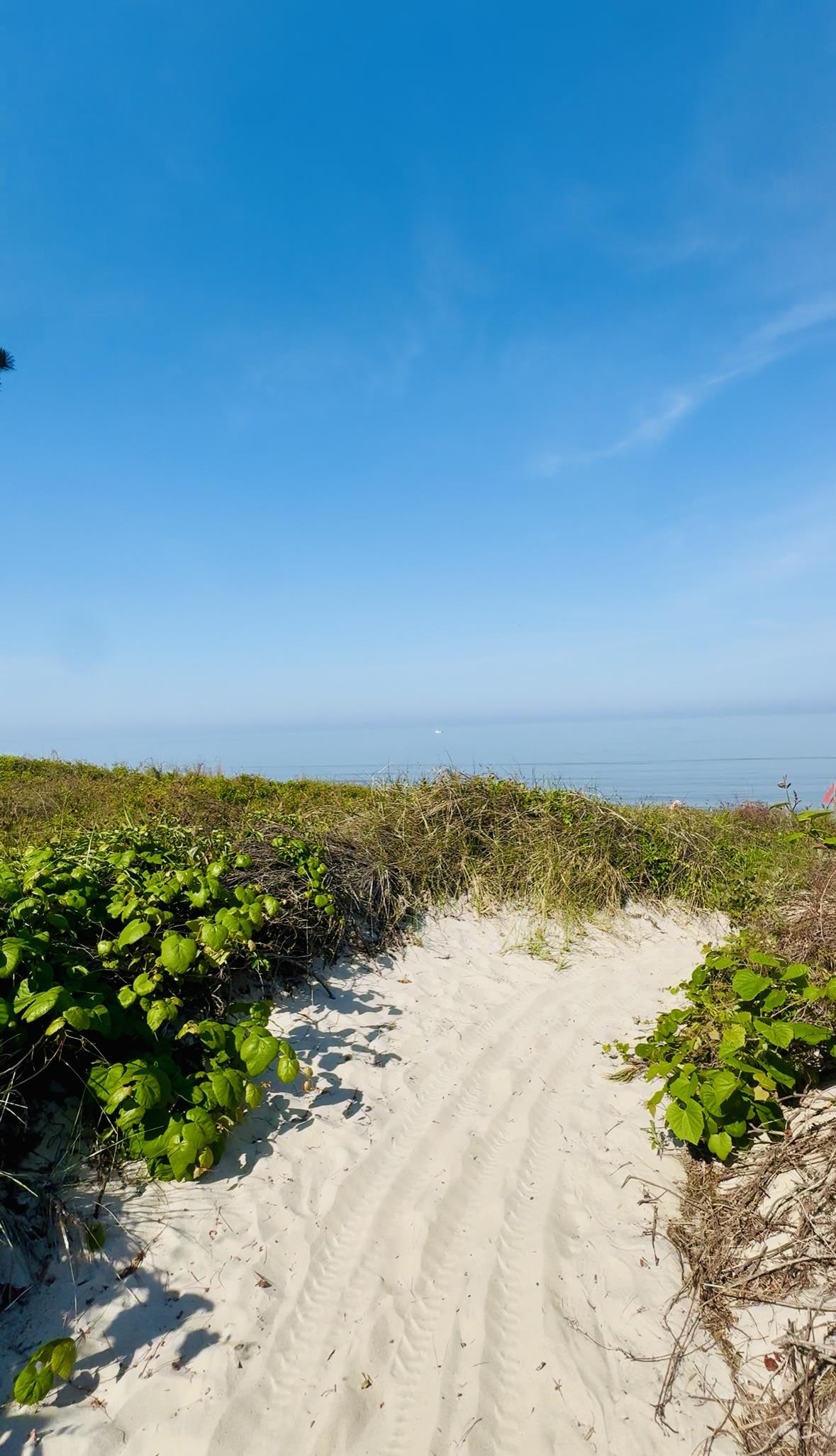 413 Fern Road Cape May Beach, NJ 08251 - Photo 35 of 36