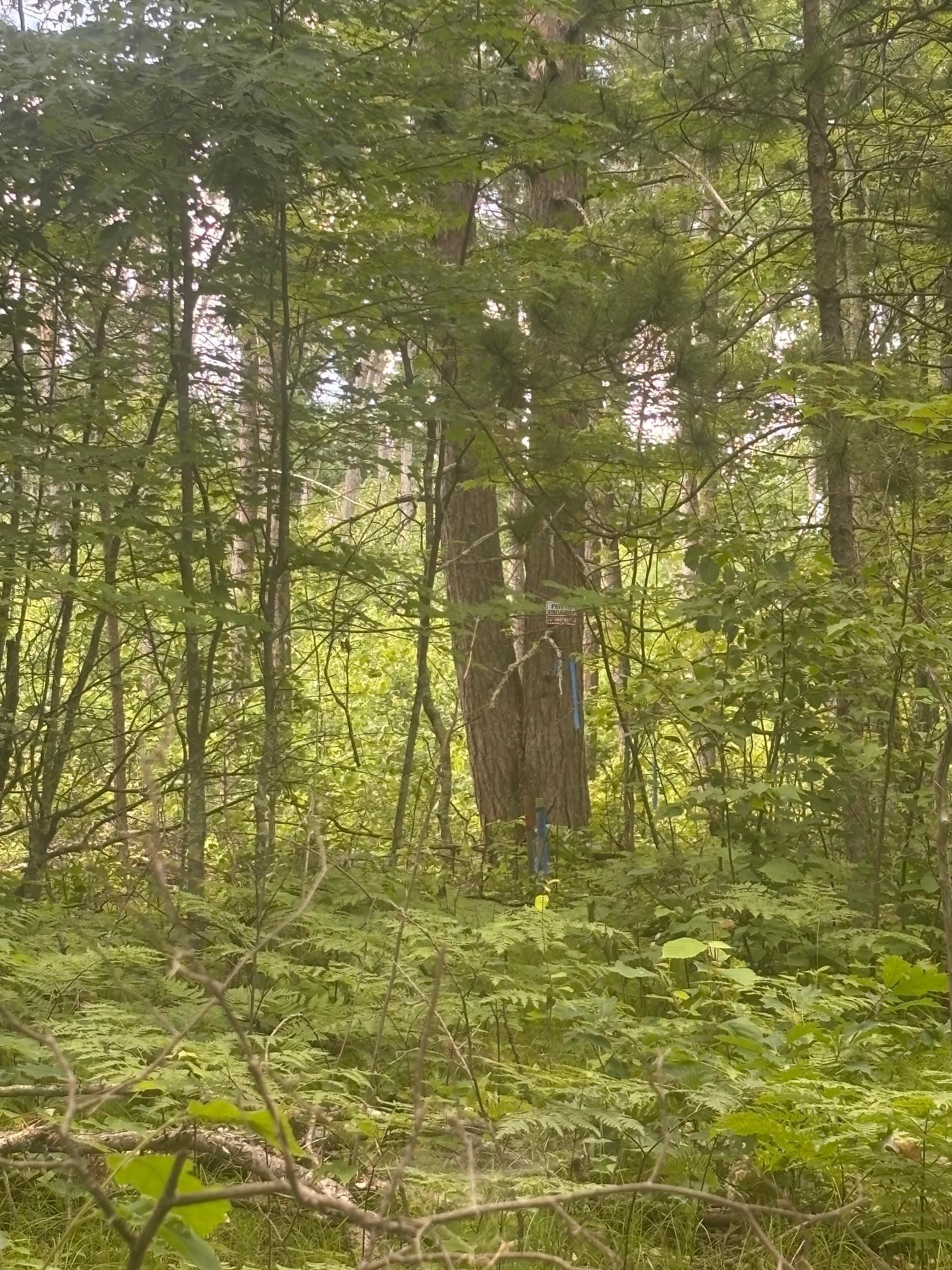 Swan Bay Road, Unit 6 Amberg, WI 54102 - Photo 11 of 20