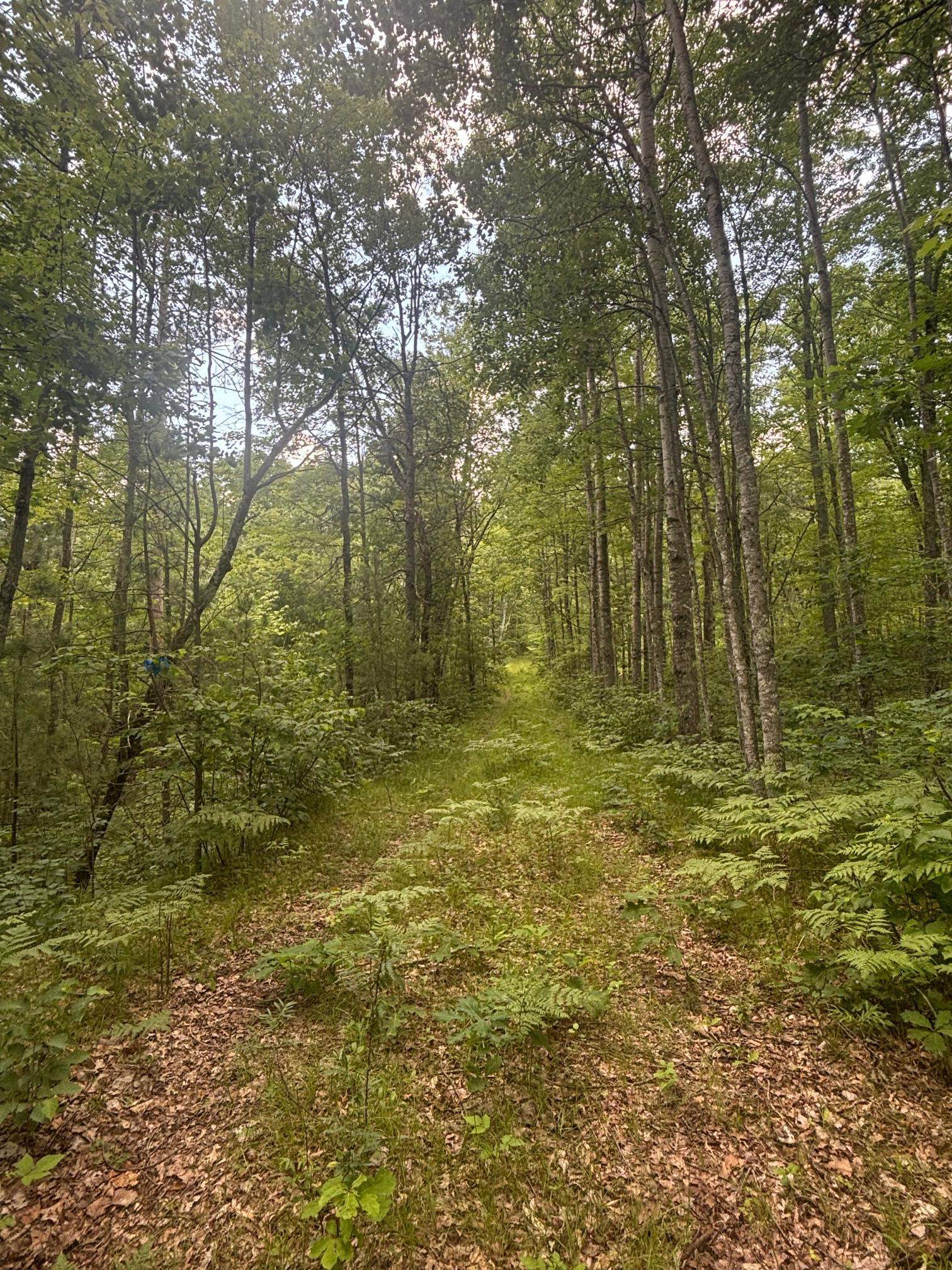 Swan Bay Road, Unit 6 Amberg, WI 54102 - Photo 12 of 20