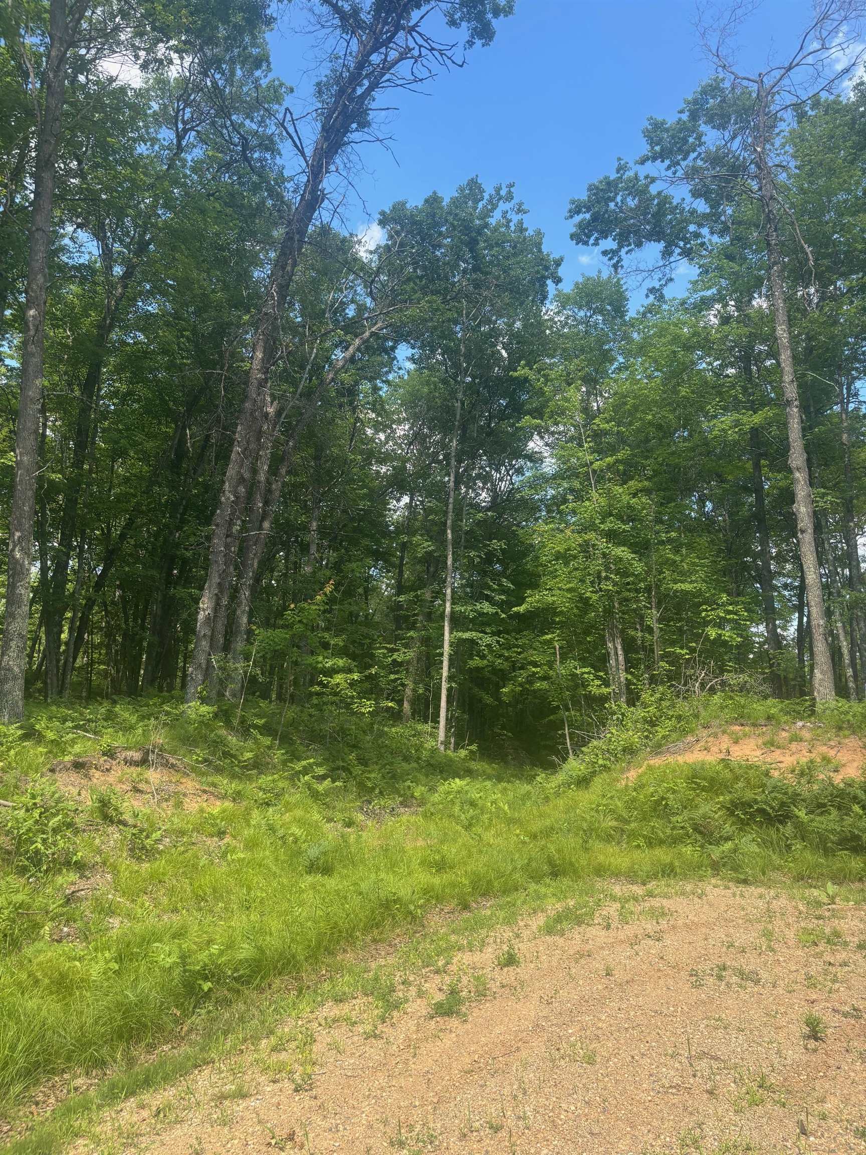 Swan Bay Road, Unit 6 Amberg, WI 54102 - Photo 14 of 20