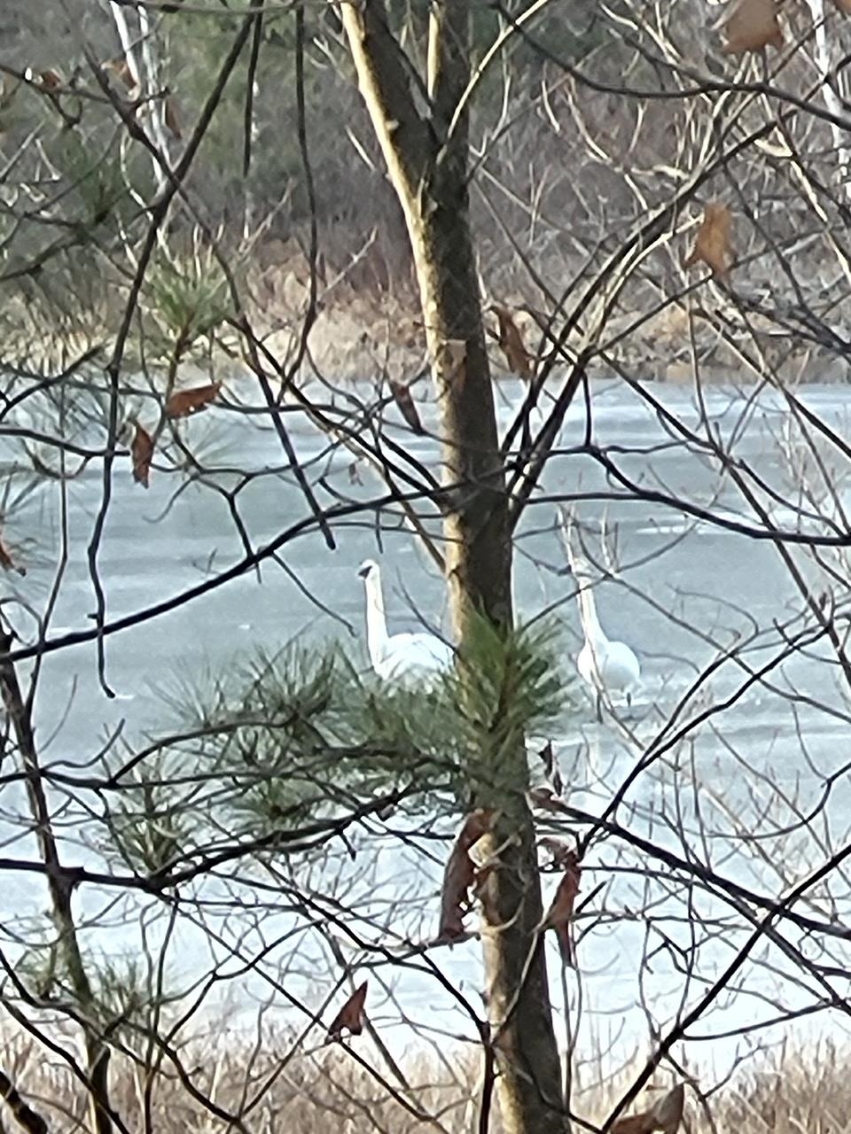 Swan Bay Road, Unit 6 Amberg, WI 54102 - Photo 20 of 20