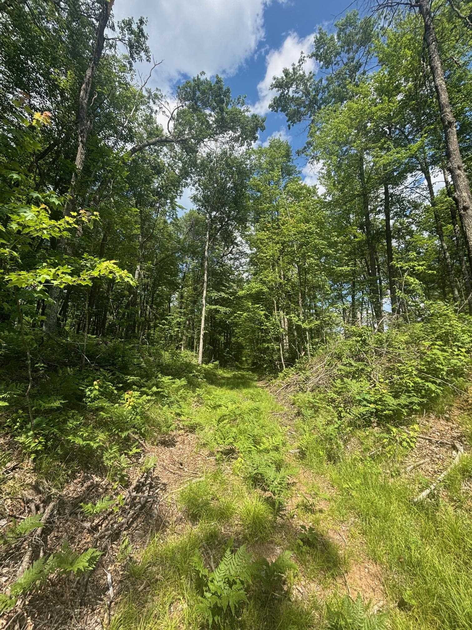 Swan Bay Road, Unit 6 Amberg, WI 54102 - Photo 4 of 20