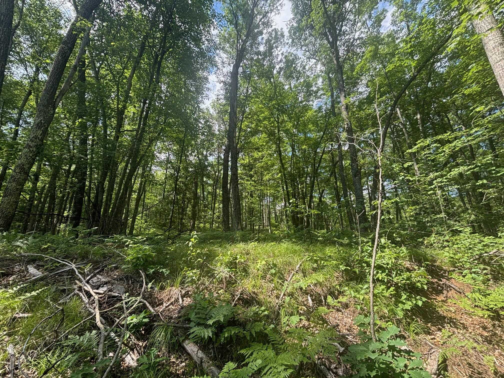 Swan Bay Road, Unit 6 Amberg, WI 54102 - Photo 5 of 20