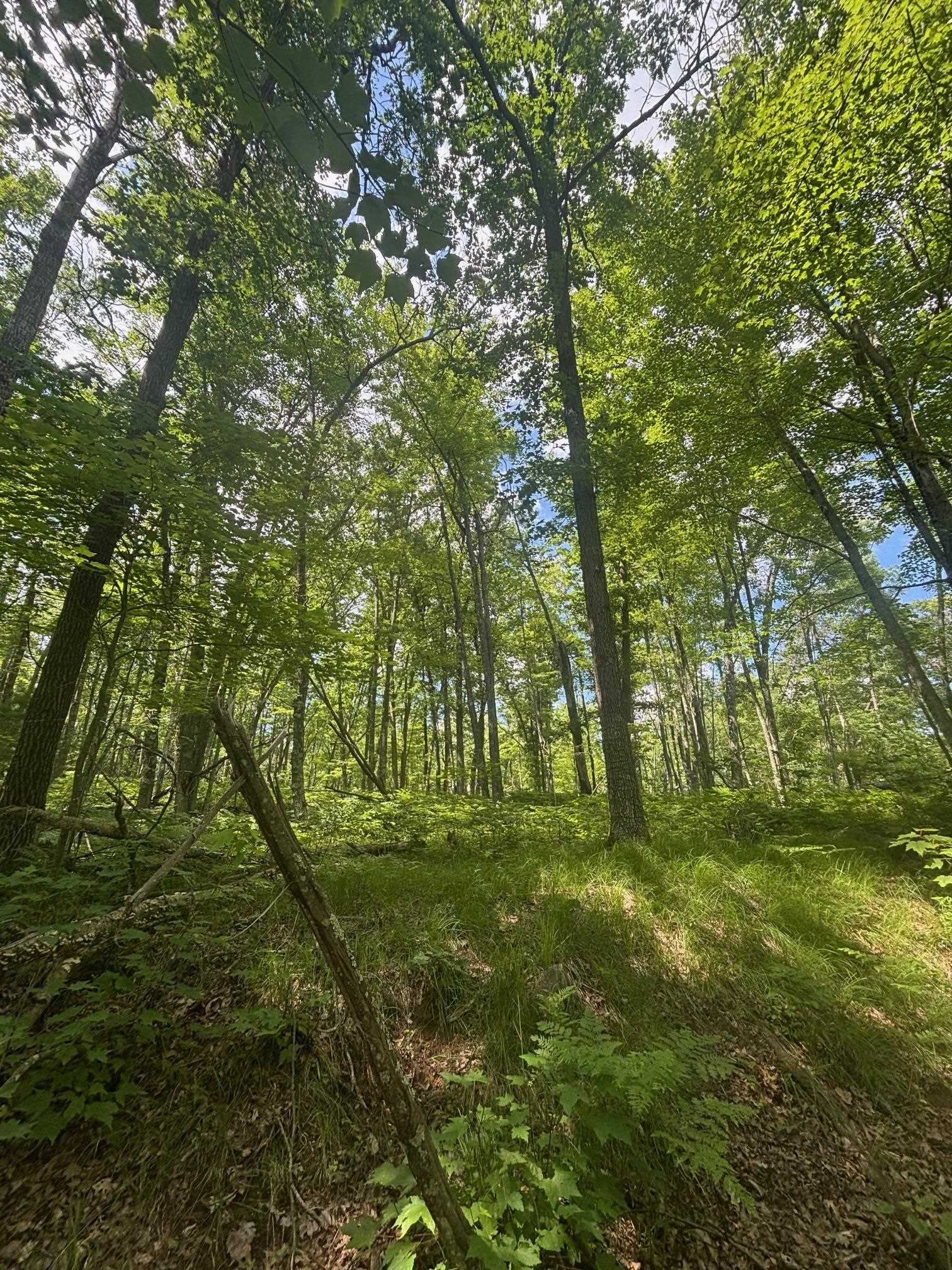 Swan Bay Road, Unit 6 Amberg, WI 54102 - Photo 6 of 20