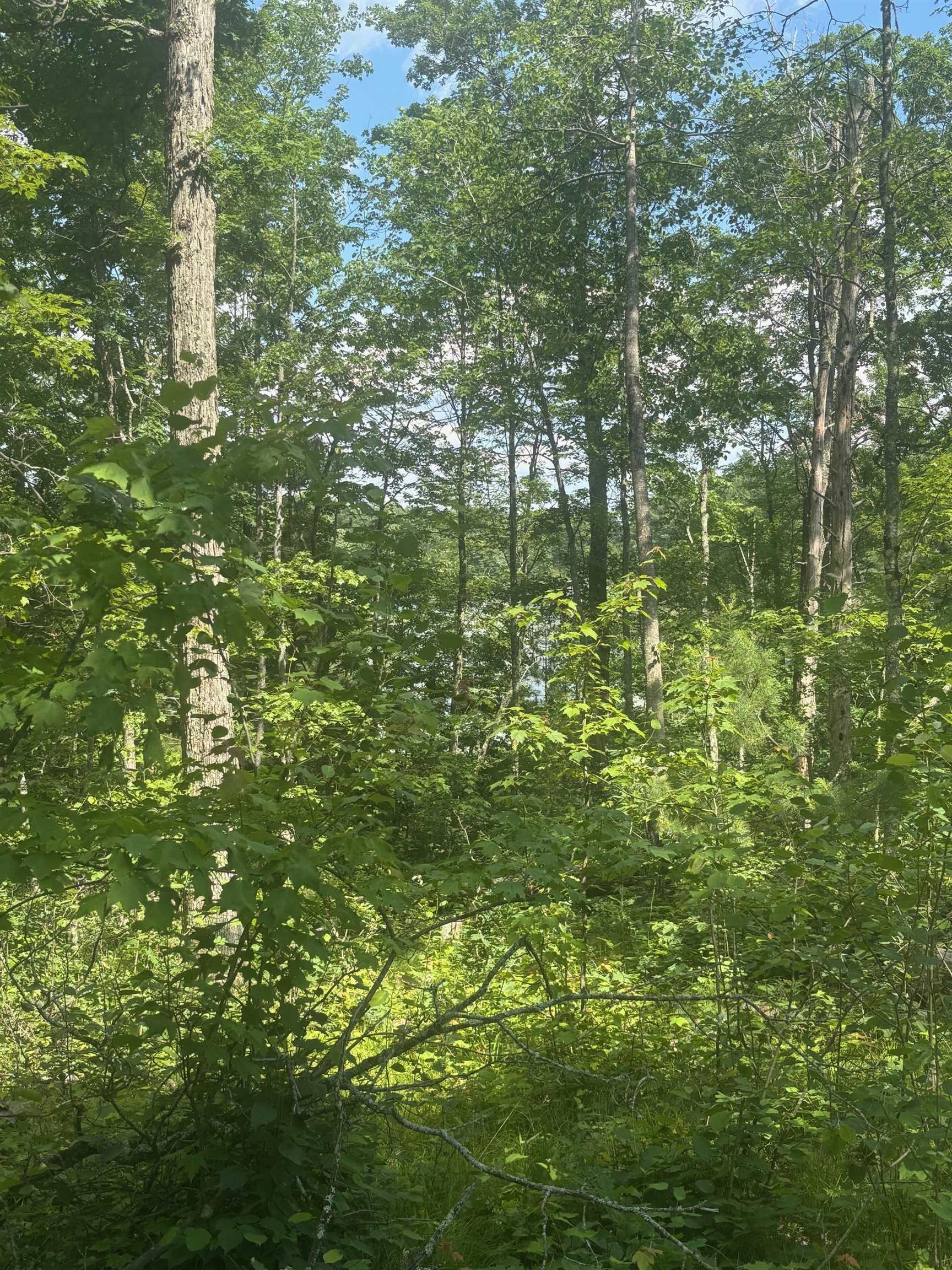 Swan Bay Road, Unit 6 Amberg, WI 54102 - Photo 8 of 20