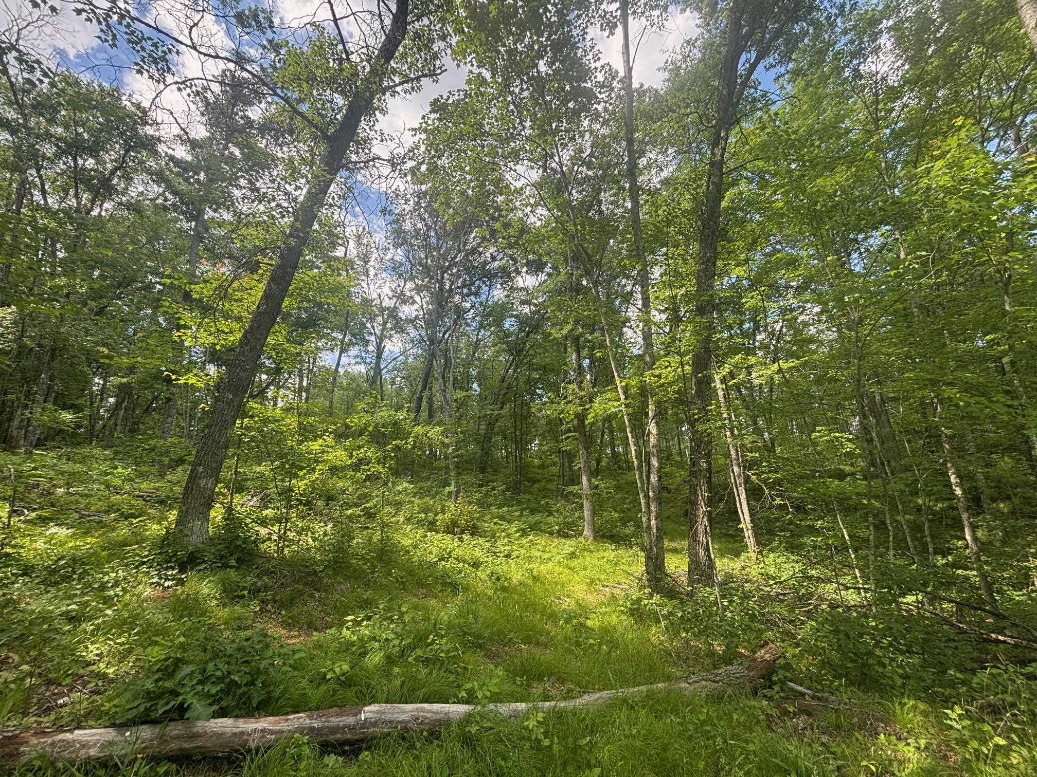 Swan Bay Road, Unit 6 Amberg, WI 54102 - Photo 9 of 20