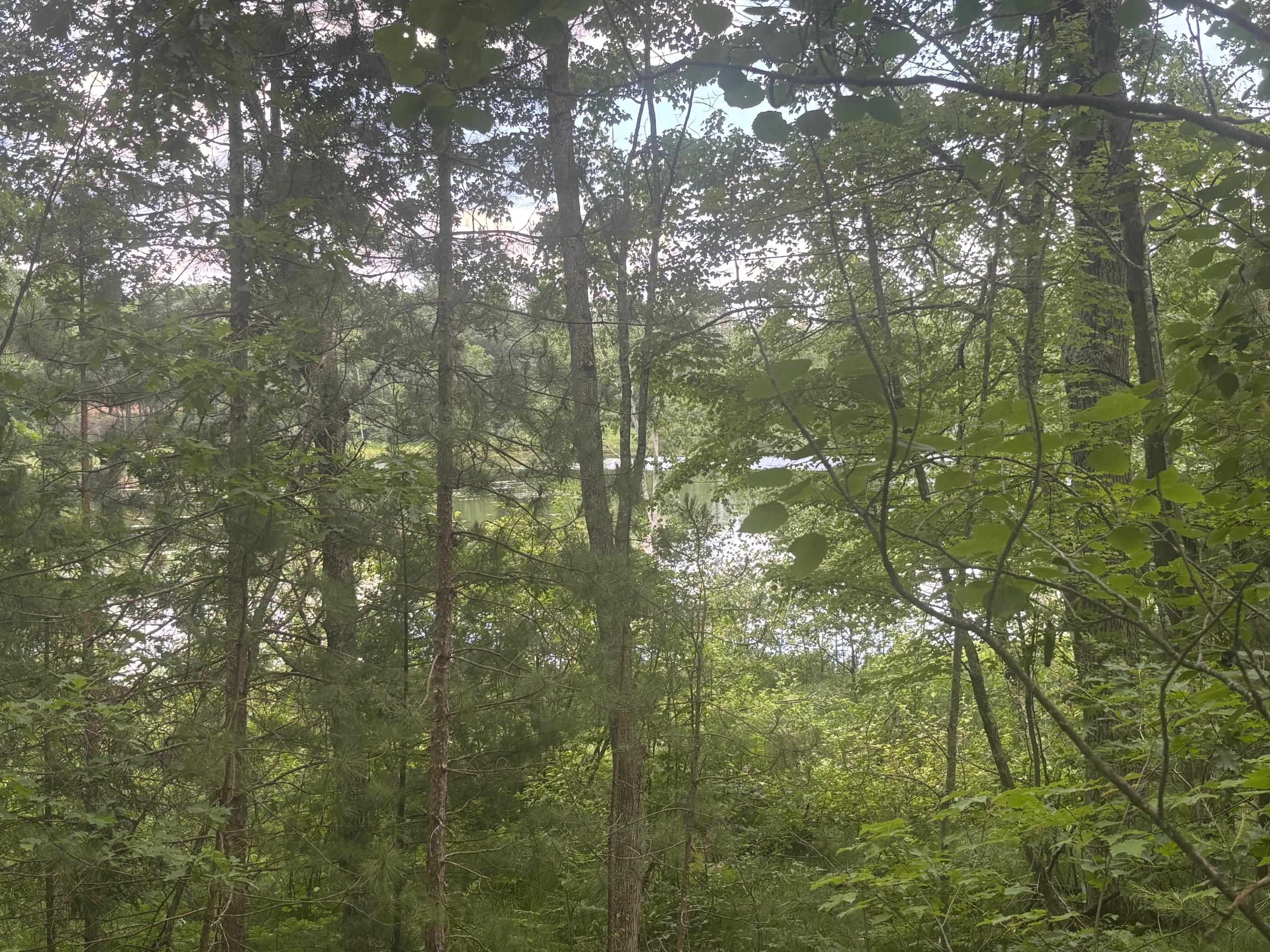 Swan Bay Road, Unit 6 Amberg, WI 54102 - Photo 10 of 20