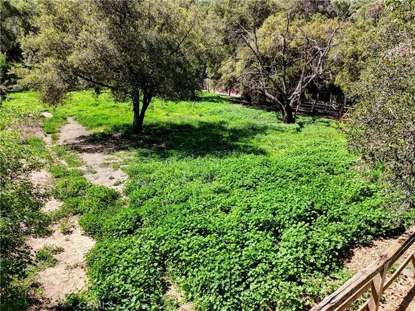 a view of a garden with a tree