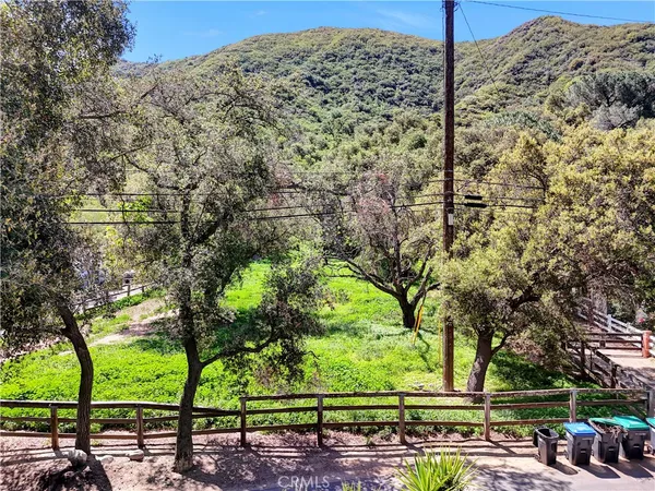 a view of a park with large trees