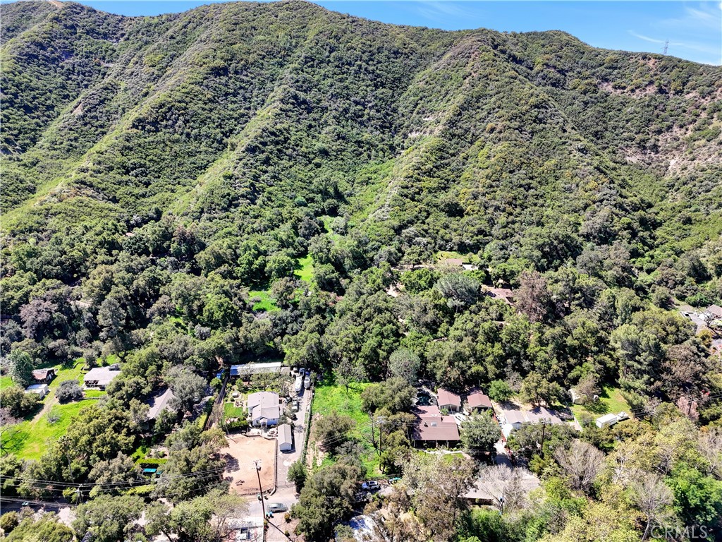 28622 Modjeska Road Silverado, CA 92676 - Photo 8 of 9 a view of a city