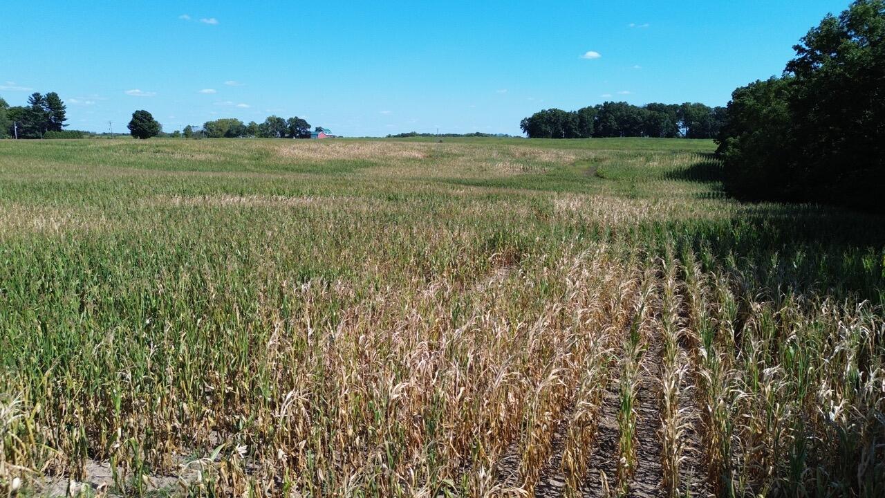 Vl County Farm Road Burr Oak, MI 49030 - Photo 8 of 11 DJI_0814 Large_Rich Carpenter