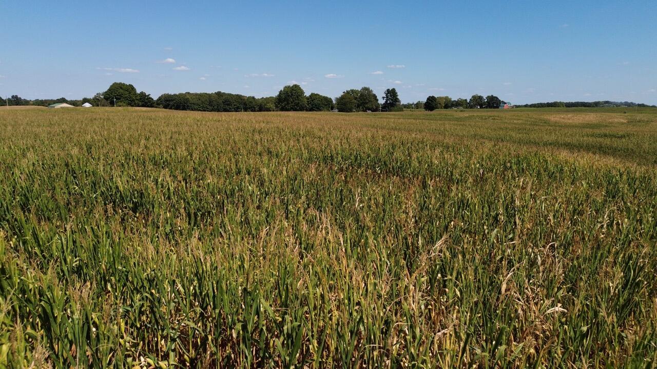 Vl County Farm Road Burr Oak, MI 49030 - Photo 10 of 11 DJI_0817 Large_Rich Carpenter