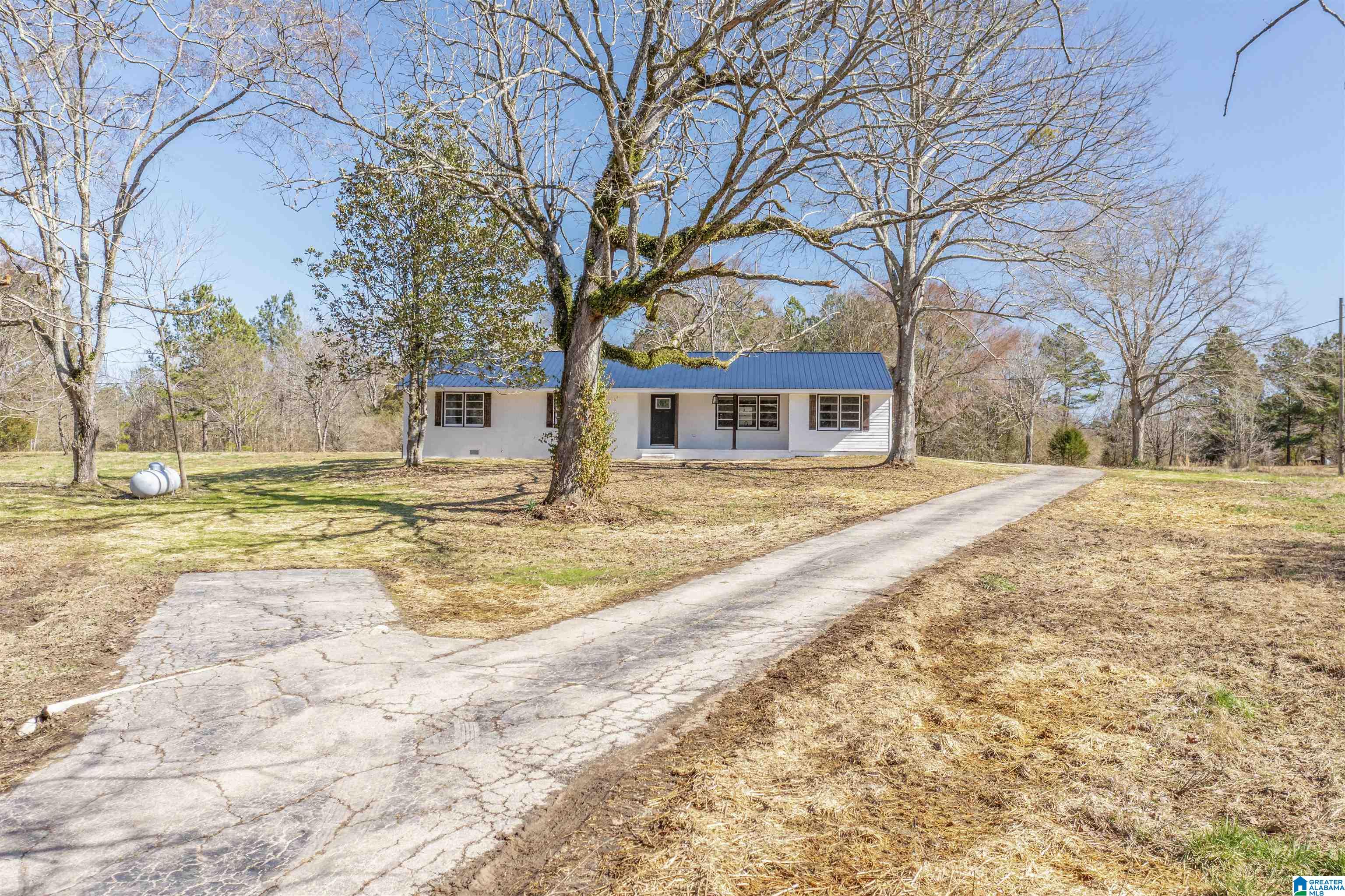 4592 Cedar Springs Road Jacksonville, AL 36265 - Photo 5 of 37