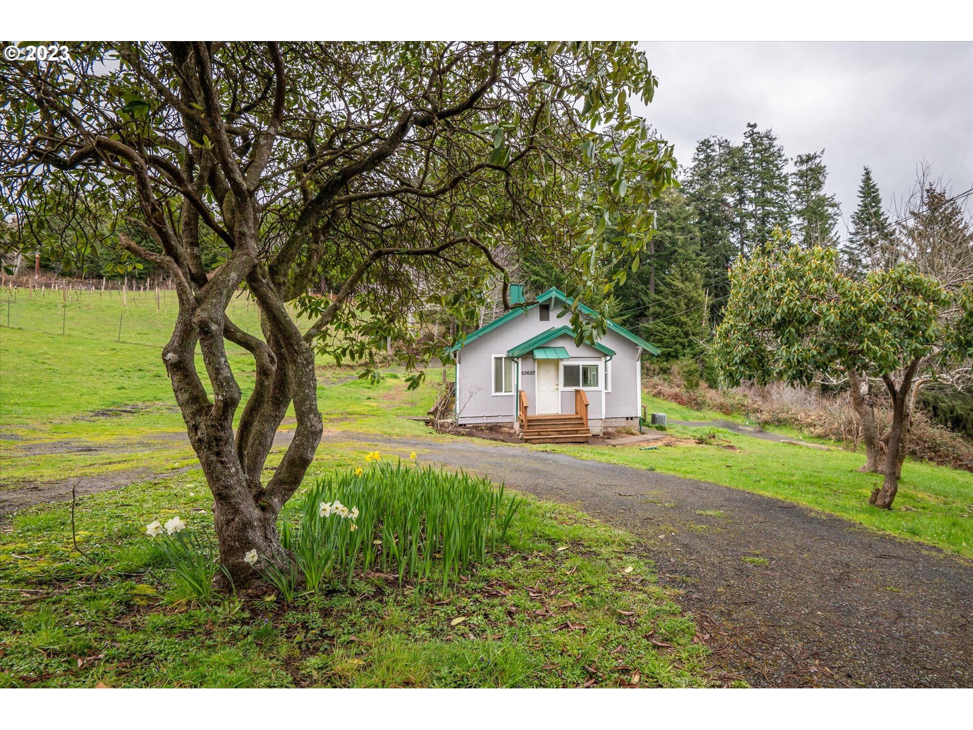 63657 Olive Barber Road Coos Bay, OR 97420 - Photo 1 of 34 a view of a house with a yard