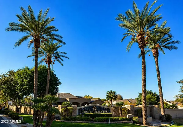 a plant in front of a palm tree