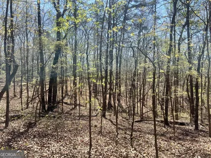 $45,000 | Lot 92 Doll Mountain Road, Ellijay, GA 30540