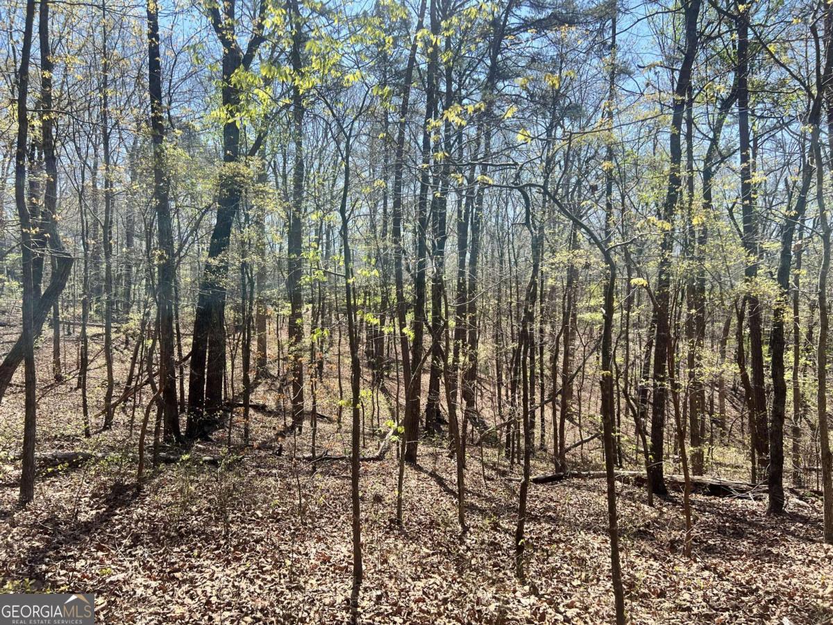 Lot 92 Doll Mountain Road Ellijay, GA 30540 - Photo 3 of 10