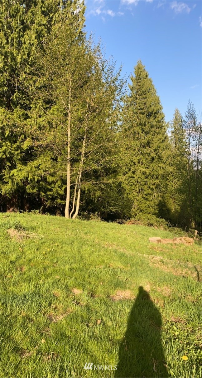 14324 Burn Road Lake Stevens, WA 98258 - Photo 12 of 25