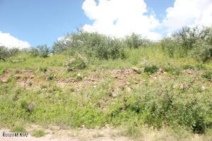 729 Avenida Beatriz, Unit 38 Rio Rico, AZ 85648 - Photo 3 of 3