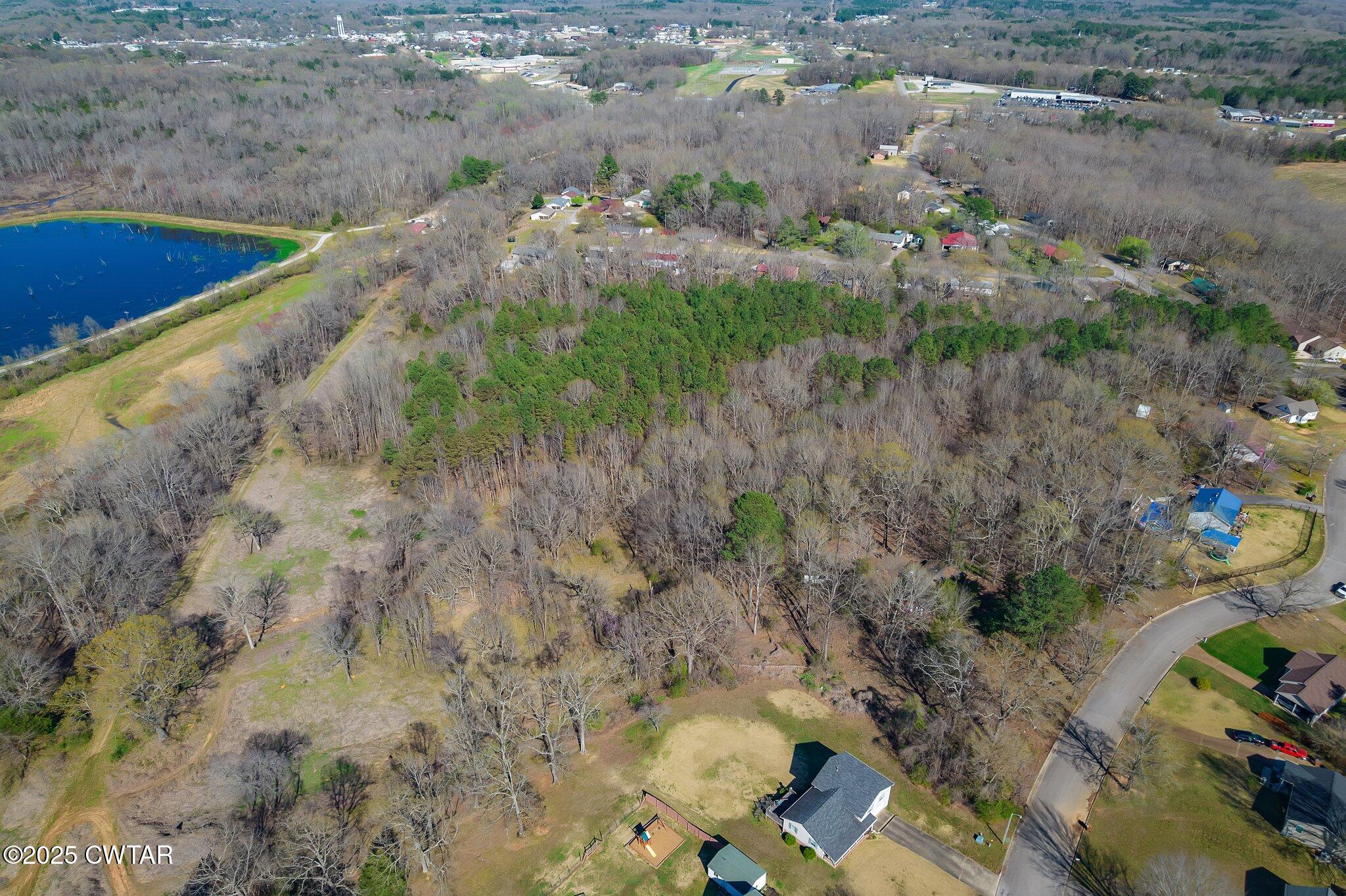 0 Dodd Street Lexington, TN 38351 - Photo 12 of 16 a view of a dry yard with trees
