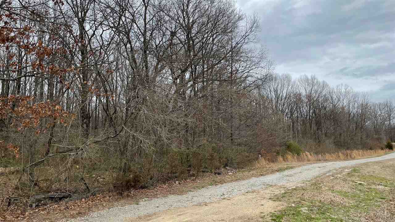 8626 Lamar Road Olive Branch, MS 38654 - Photo 13 of 20 a view of a yard with trees
