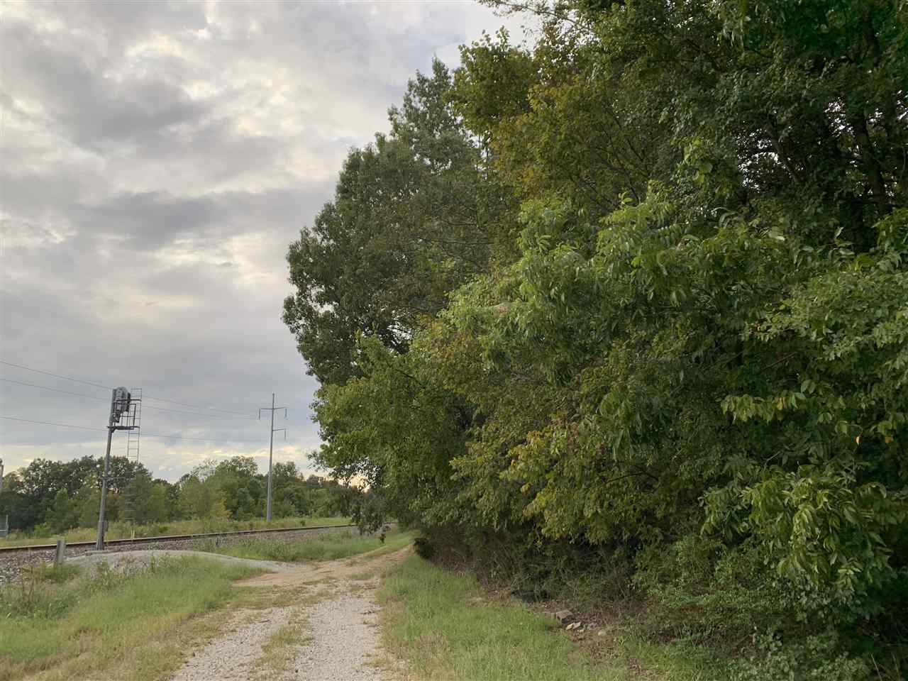 8626 Lamar Road Olive Branch, MS 38654 - Photo 16 of 20 a view of a lake with a yard and large trees