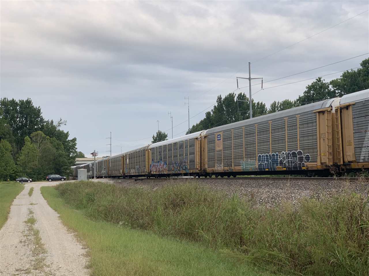 8626 Lamar Road Olive Branch, MS 38654 - Photo 20 of 20 a view of a backyard