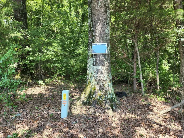 a view of a garden from a balcony