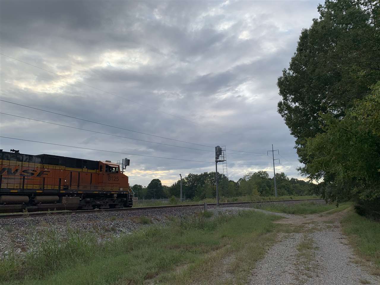 8626 Lamar Road Olive Branch, MS 38654 - Photo 8 of 20 a view of back yard