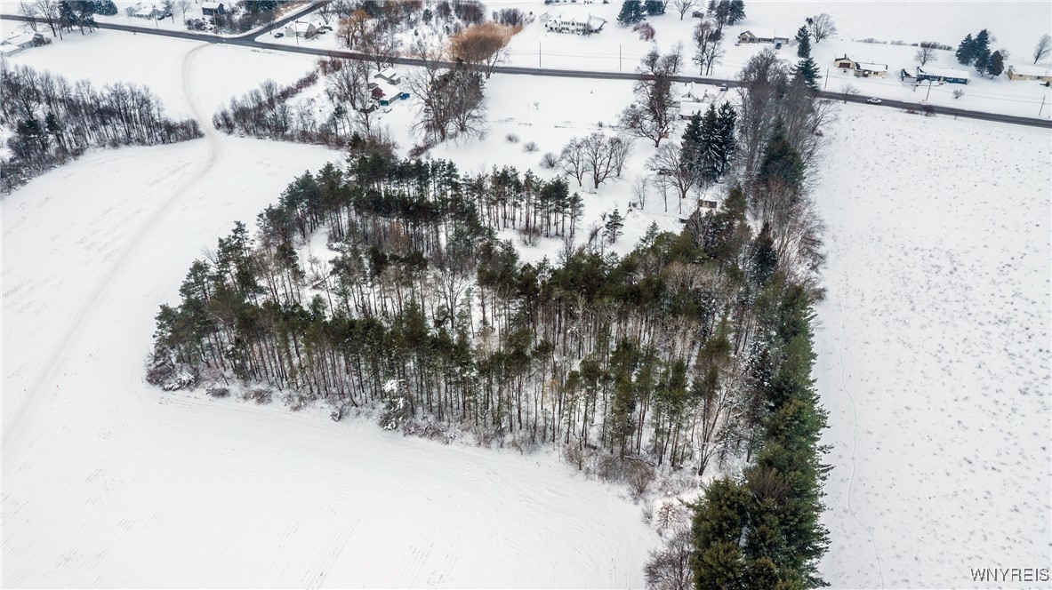 1009 Two Rod Road, Unit S Marilla, NY 14102 - Photo 12 of 47