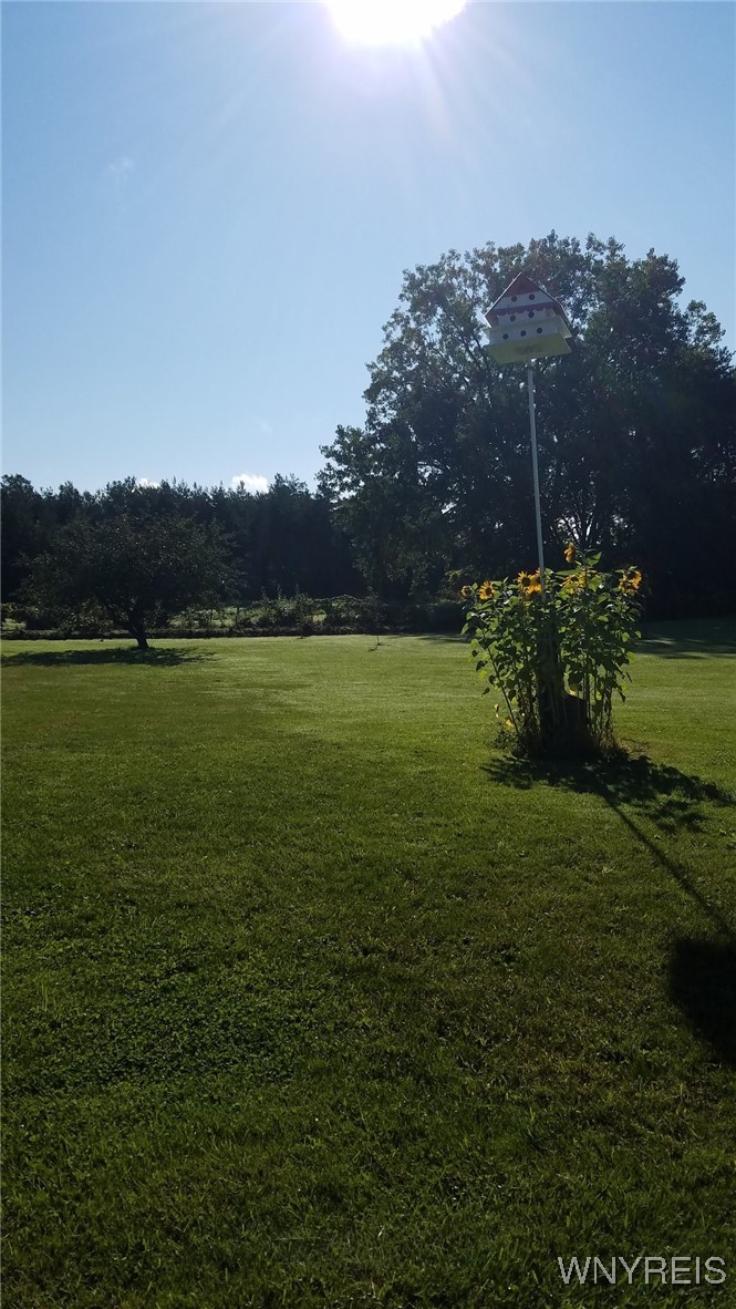 1009 Two Rod Road, Unit S Marilla, NY 14102 - Photo 13 of 47 Summer pic of the land.