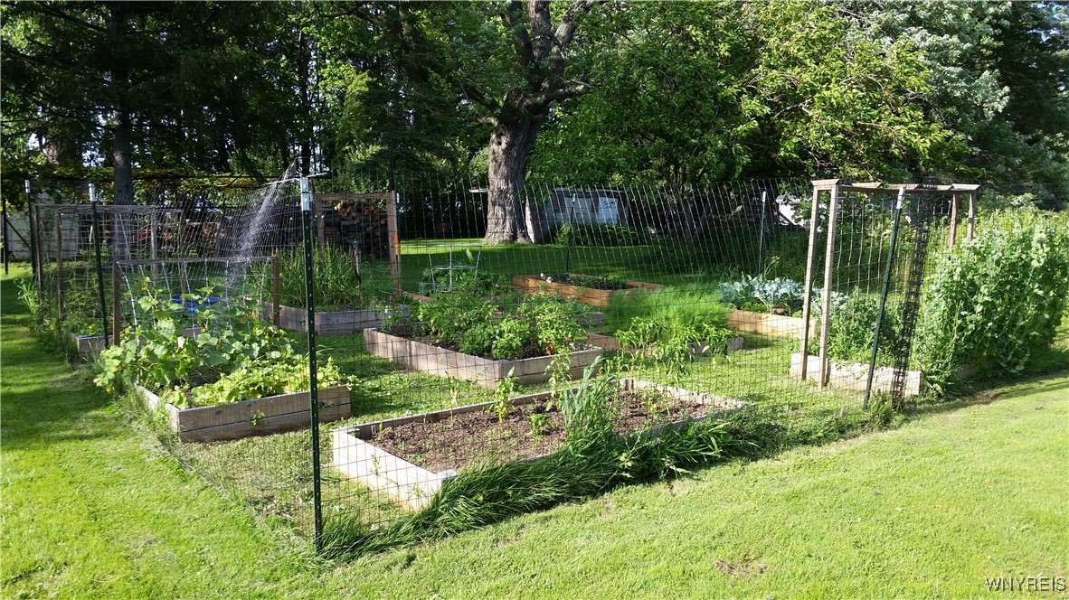 1009 Two Rod Road, Unit S Marilla, NY 14102 - Photo 6 of 47 Raised garden beds in summer.