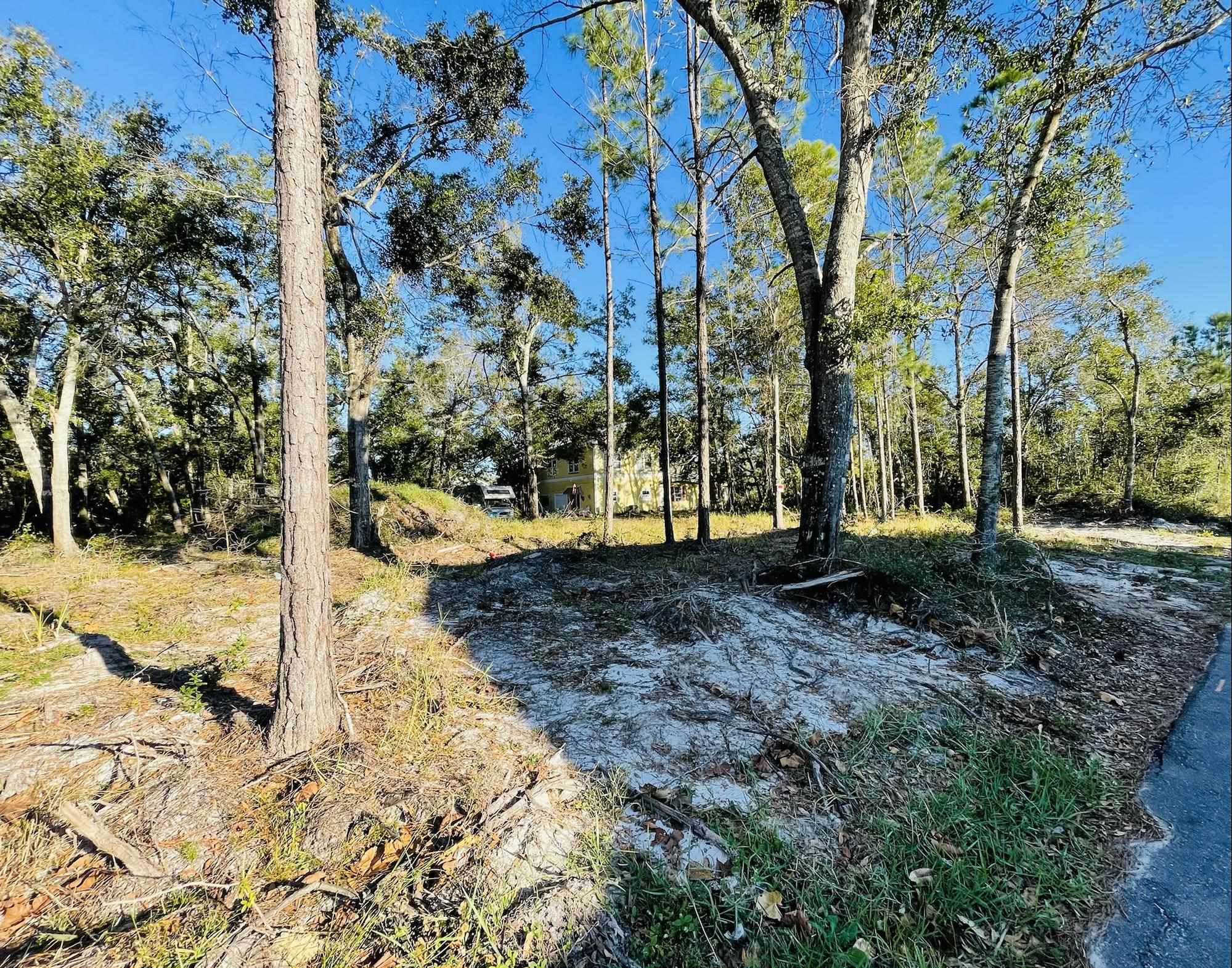 0 Look Rook Road Orange Beach, AL 36561 - Photo 5 of 6
