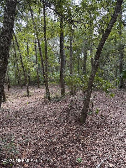 10 Southeast 265th Court Road Umatilla, FL 32784 - Photo 23 of 38 IMG_0137
