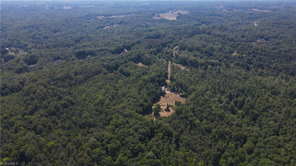 7767 Pearman Quarry Road Kernersville, NC 27284 - Photo 17 of 27