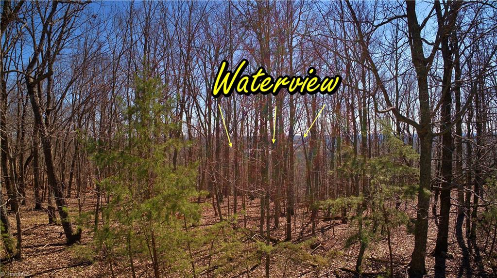 692 Sierra Trace Road Denton, NC 27239 - Photo 6 of 27