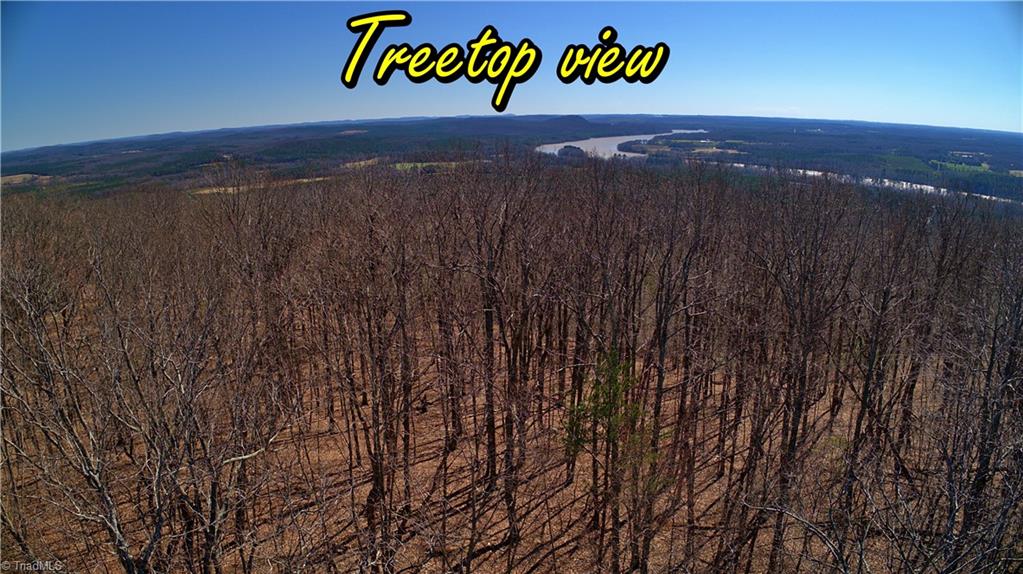 692 Sierra Trace Road Denton, NC 27239 - Photo 7 of 27