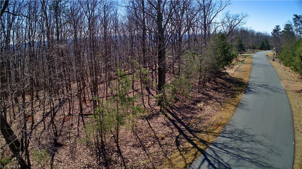 692 Sierra Trace Road Denton, NC 27239 - Photo 8 of 27