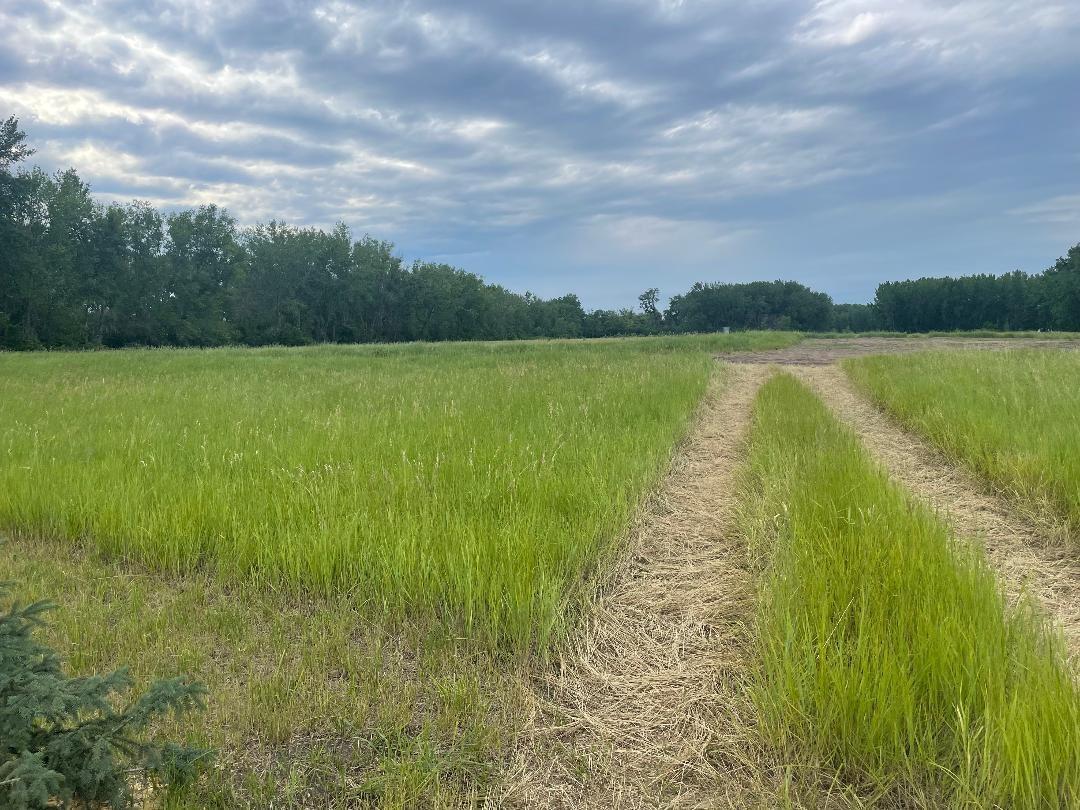 10220 State Highway South Barnesville, MN 56514 - Photo 2 of 5